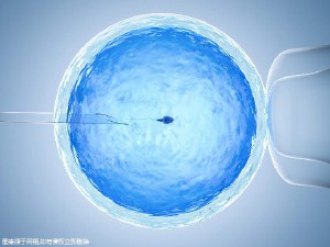 爱心拉拉代怀咨询怎么选